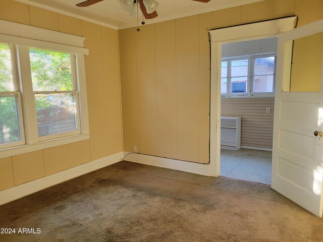 11 Black Knob Vw, Bisbee, AZ 85603 - spare room featuring ceiling fan, dark carpet, healthy amount of natural light, ornamental molding, and a decorative wall