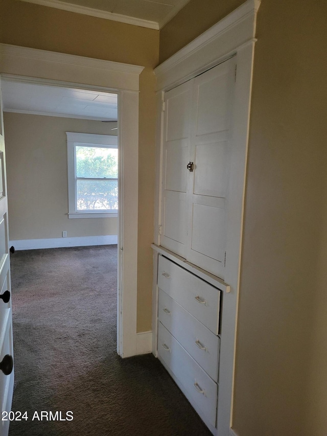 11 Black Knob Vw, Bisbee, AZ 85603 - hall with dark carpet, ornamental molding, and baseboards