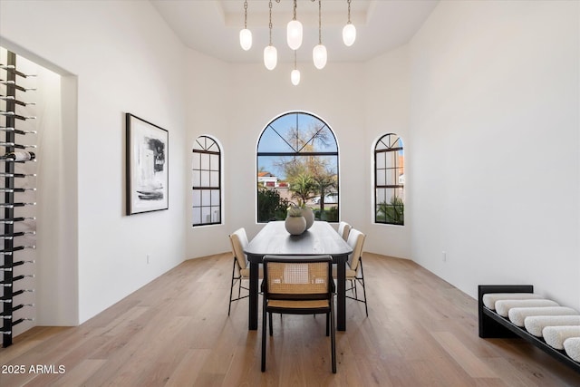 10541 E Windrose Dr, Scottsdale, AZ 85259 - dining space with a tray ceiling, light wood-type flooring, and a towering ceiling