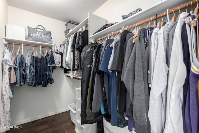 spacious closet with wood finished floors