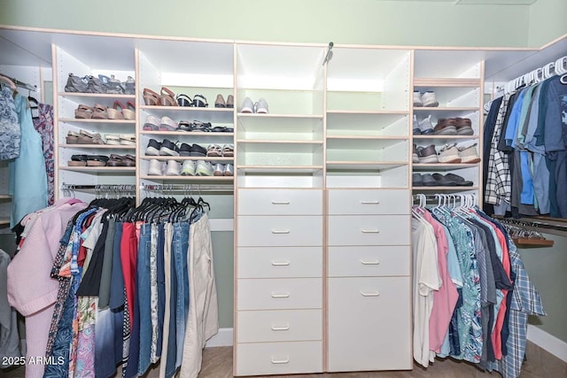1623 E Runion Dr, Phoenix, AZ 85024 - view of walk in closet