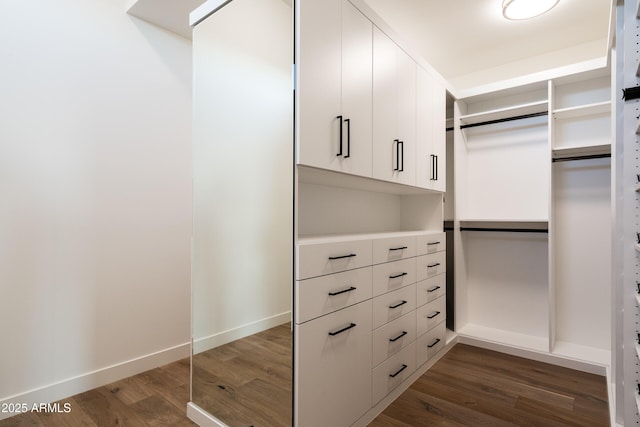 walk in closet with wood finished floors