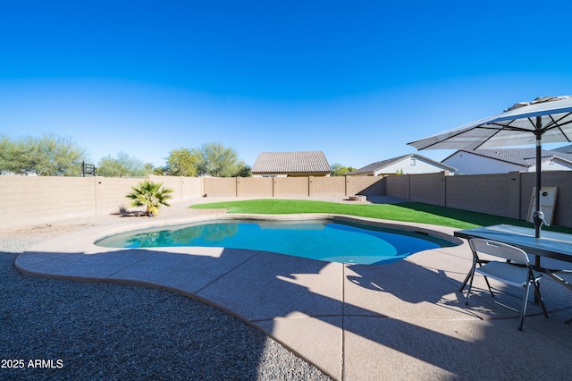 view of pool featuring a yard and a patio