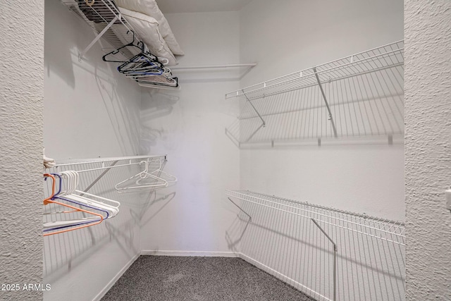 10030 W Indian School Rd Unit 101, Phoenix, AZ 85037 - spacious closet with carpet flooring