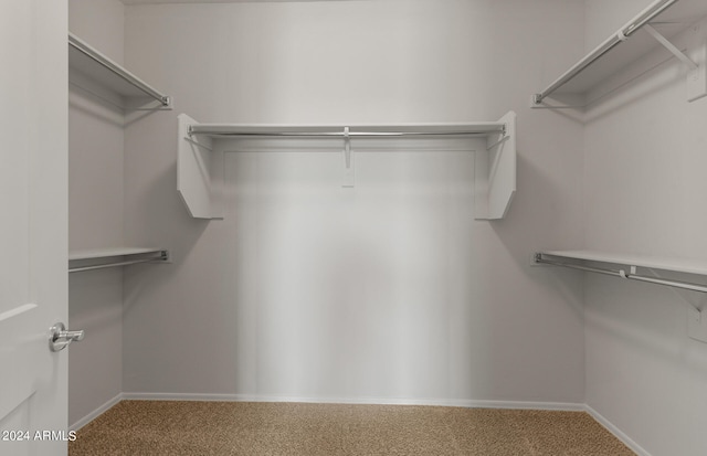 spacious closet with carpet flooring