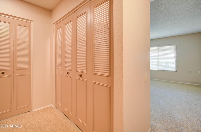 room details with carpet floors and a textured ceiling