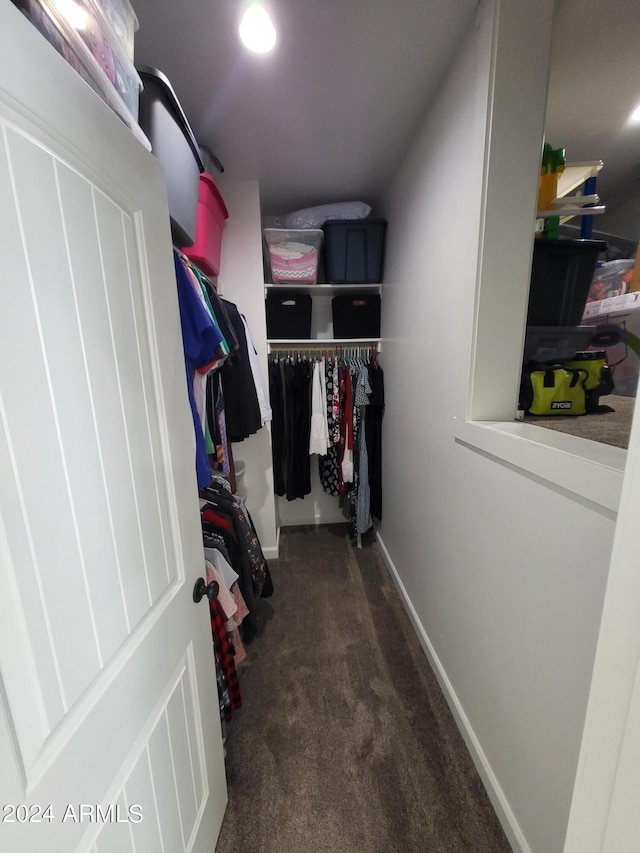 2060 E Quartz St, Mesa, AZ 85213 - spacious closet featuring carpet floors