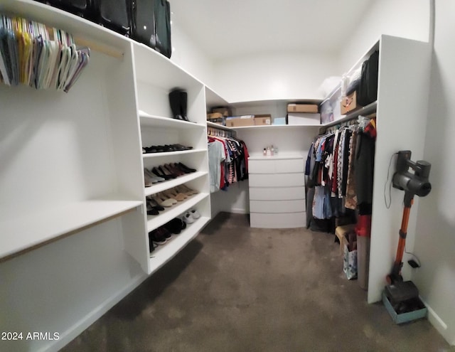 2060 E Quartz St, Mesa, AZ 85213 - walk in closet with carpet