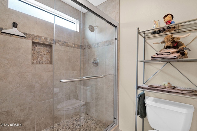 full bathroom featuring toilet and a shower stall