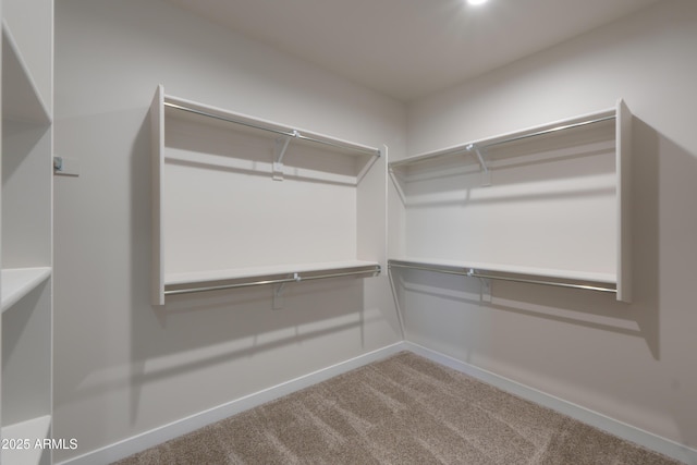 walk in closet featuring carpet