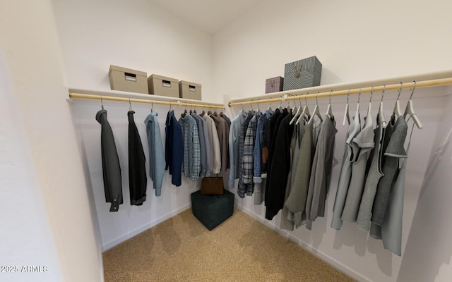 12550 W Luxton Ln, Avondale, AZ 85323 - spacious closet with carpet floors