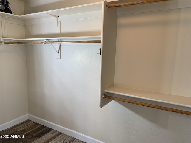 walk in closet featuring wood finished floors