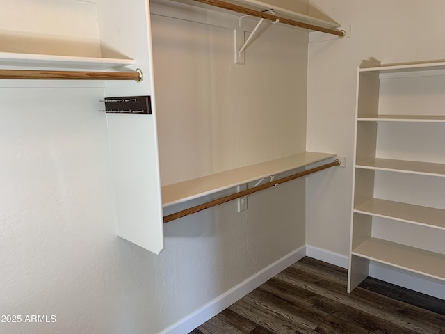 spacious closet featuring dark wood-style flooring