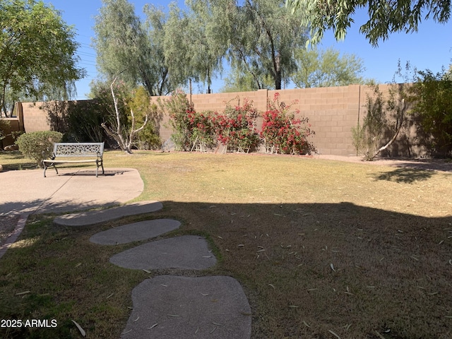 view of yard featuring a patio and a fenced backyard