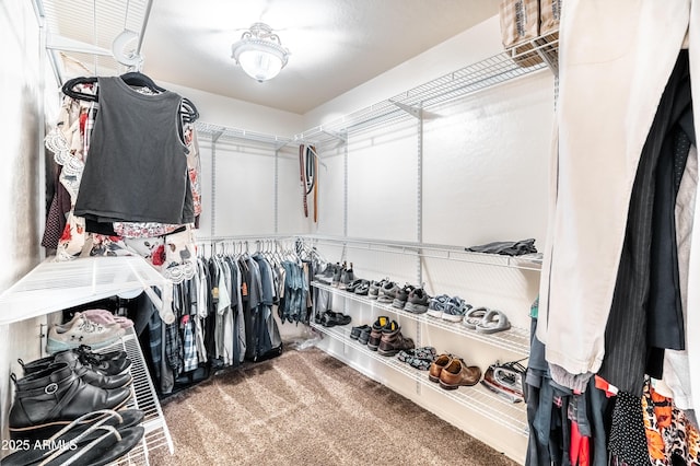 3511 W Allens Peak Dr, San Tan Valley, AZ 85144 - walk in closet with carpet floors