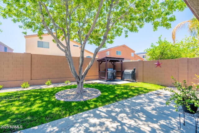 3511 W Allens Peak Dr, San Tan Valley, AZ 85144 - view of yard featuring a patio