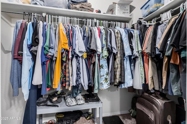 view of walk in closet