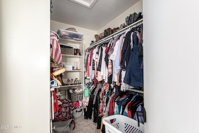 19230 N 5th St, Phoenix, AZ 85024 - spacious closet featuring carpet floors and attic access