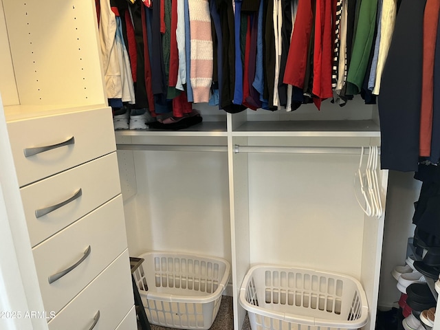 view of spacious closet