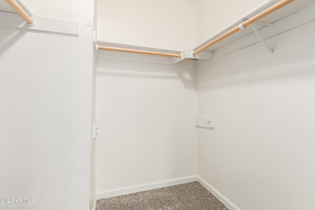 walk in closet featuring carpet flooring