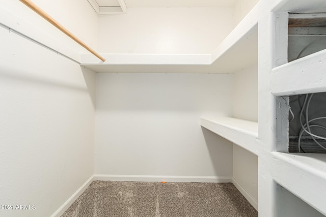 spacious closet featuring carpet flooring