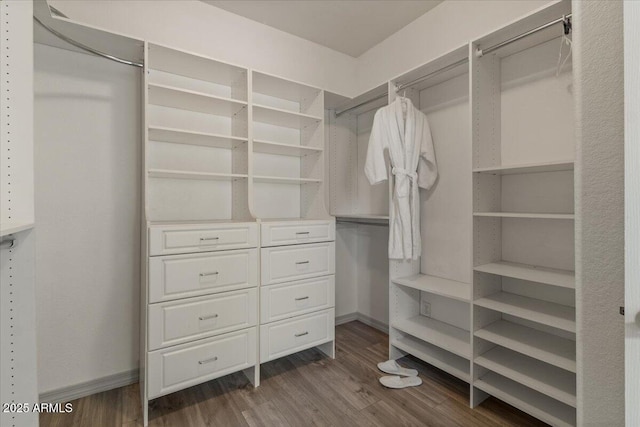 10235 E Jerome Ave, Mesa, AZ 85209 - walk in closet with dark wood-style floors