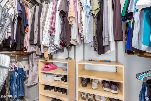 view of spacious closet