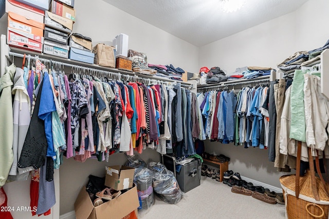 spacious closet with carpet