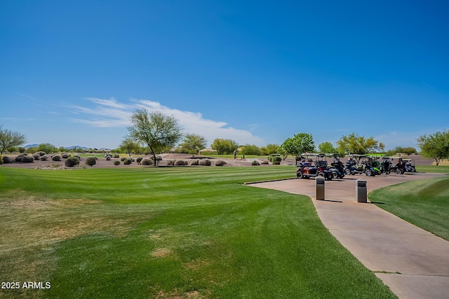 view of property's community with a yard