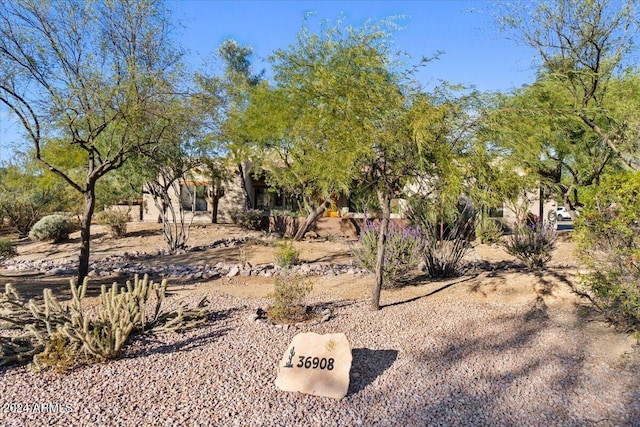 36908 N 19th St, Phoenix, AZ 85086 - view of yard