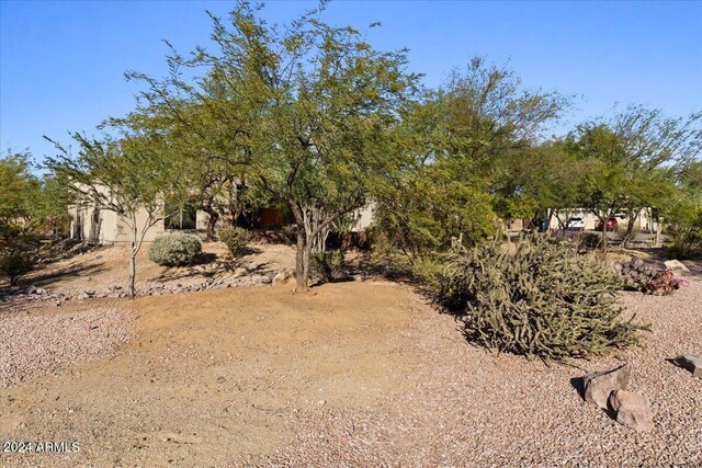 36908 N 19th St, Phoenix, AZ 85086 - view of yard