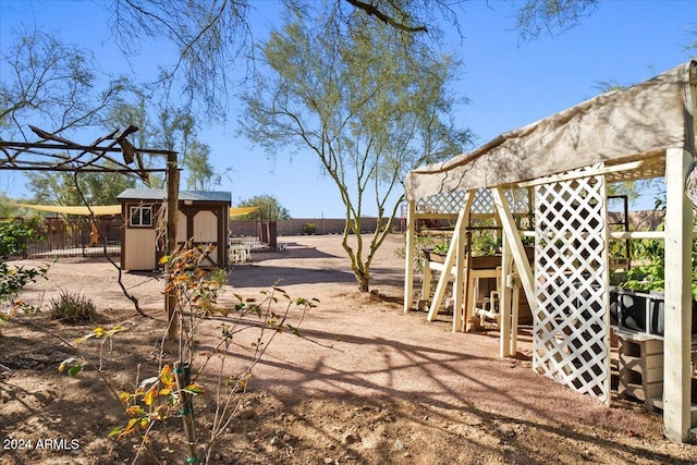 view of yard featuring a shed