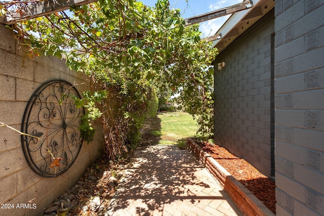 view of yard with a patio area