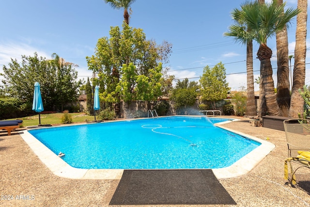 view of pool with a diving board