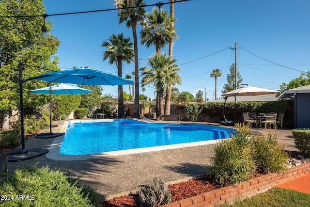 view of pool with a patio area