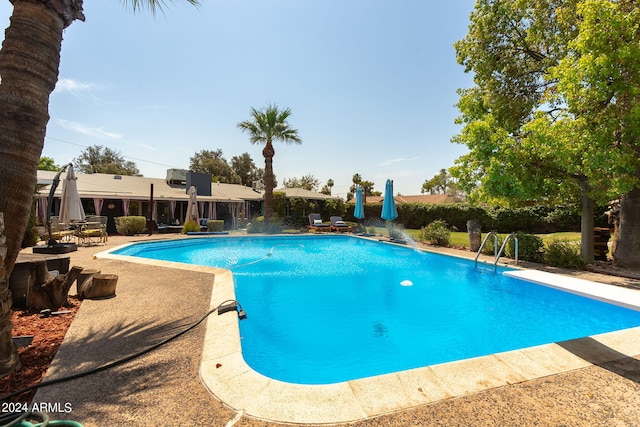 view of pool with a patio