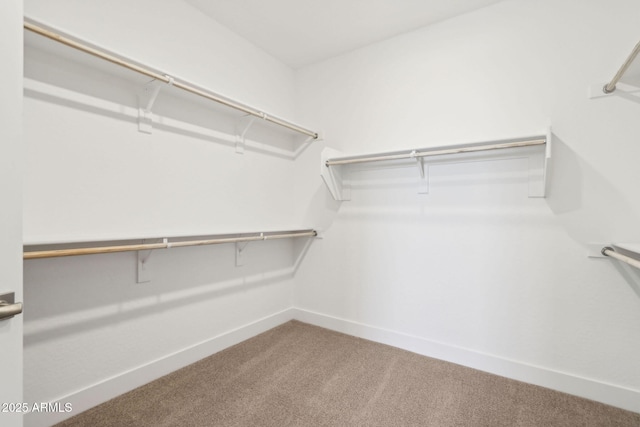 10253 E Ursula Ave, Mesa, AZ 85212 - walk in closet with carpet