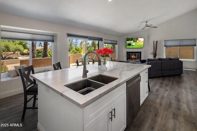 kitchen featuring a sink, stainless steel dishwasher, dark wood-style flooring, vaulted ceiling, and light stone counters