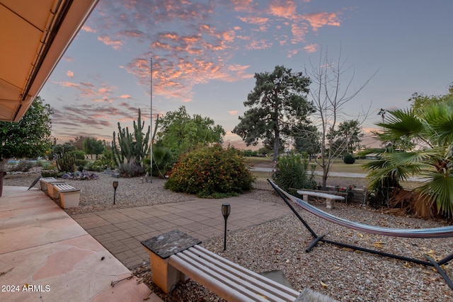 view of community featuring a patio area