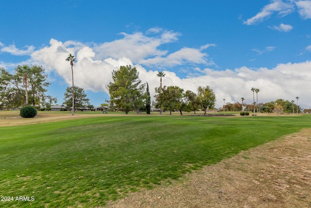 view of property's community with a lawn