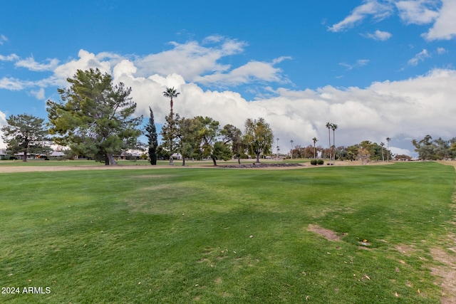 view of home's community with a lawn