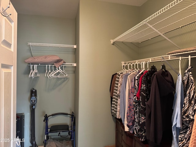 view of closet