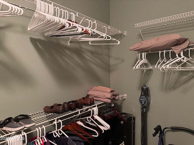 view of walk in closet