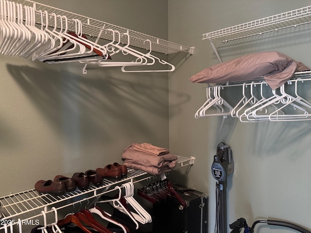 view of walk in closet