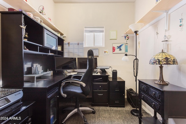 office area featuring carpet