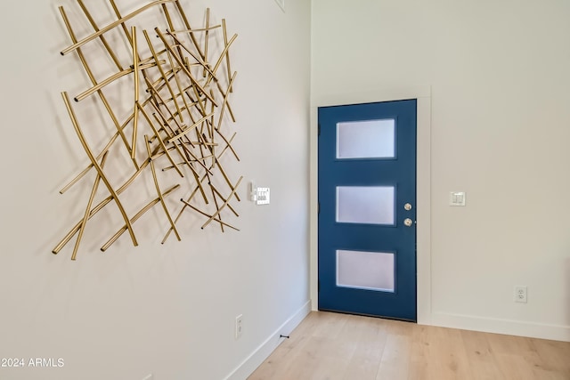 foyer entrance featuring wood-type flooring