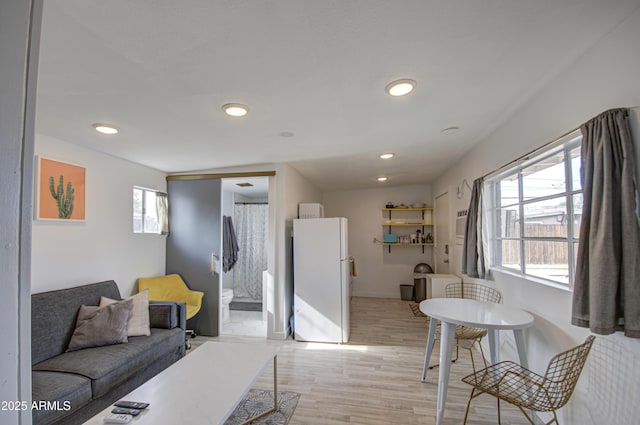 living room with light hardwood / wood-style flooring