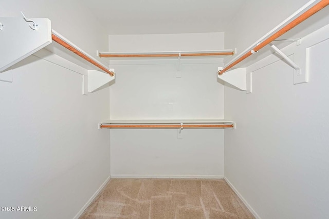 16828 W Windermere Way, Surprise, AZ 85374 - spacious closet with carpet flooring