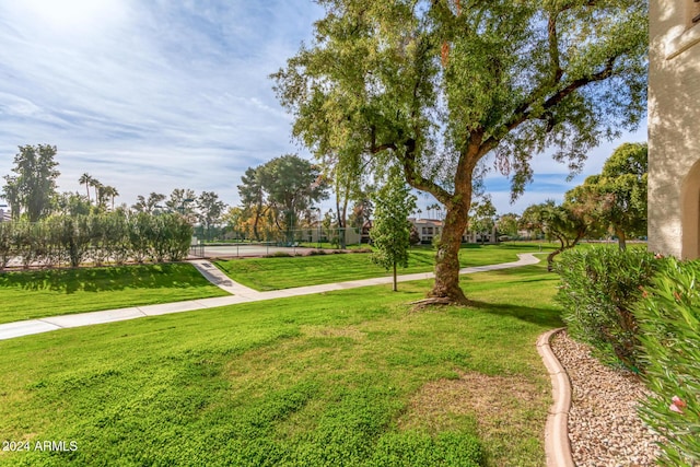 view of home's community featuring a yard