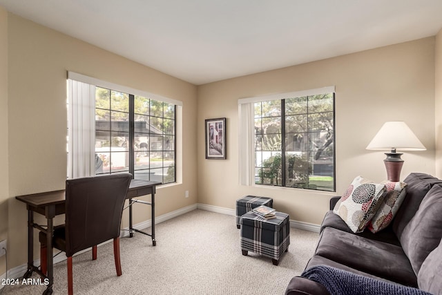 office with light colored carpet and plenty of natural light